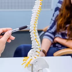 Chiropractic Treatments